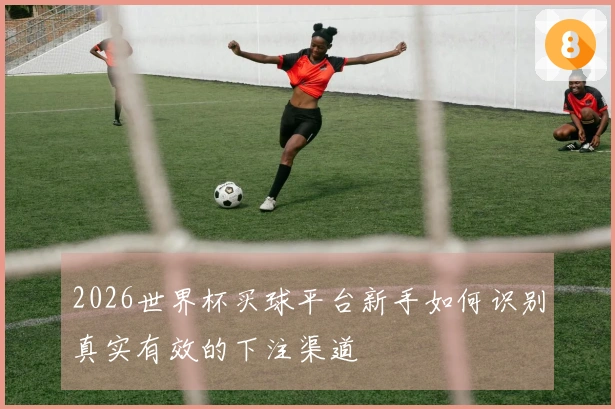 2026世界杯买球平台新手如何识别真实有效的下注渠道