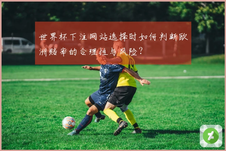 世界杯下注网站选择时如何判断欧洲赔率的合理性与风险？