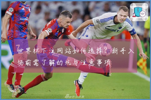 世界杯下注网站如何选择？新手入场前需了解的坑与注意事项