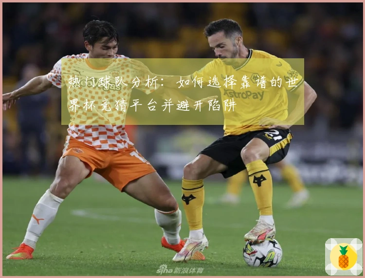 热门球队分析：如何选择靠谱的世界杯竞猜平台并避开陷阱