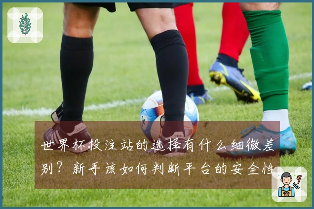 世界杯投注站的选择有什么细微差别？新手该如何判断平台的安全性和信誉？