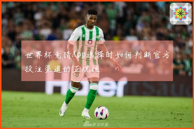 世界杯竞猜App选择时如何判断官方投注渠道的正规性