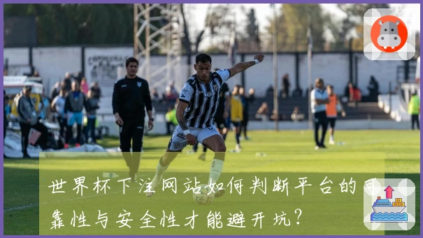 世界杯下注网站如何判断平台的可靠性与安全性才能避开坑？