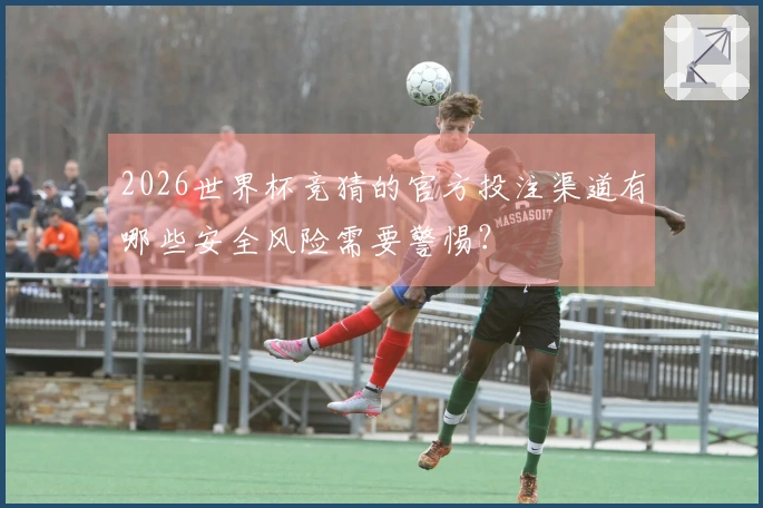 2026世界杯竞猜的官方投注渠道有哪些安全风险需要警惕？