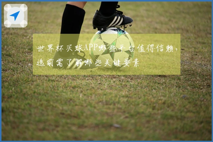 世界杯买球APP哪些平台值得信赖，选前需了解哪些关键要素