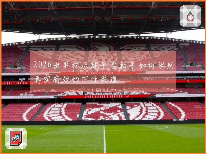 2026世界杯买球平台新手如何识别真实有效的下注渠道