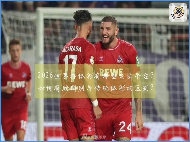 2026世界杯体彩有哪些合法平台？如何有效辨别与传统体彩的区别？