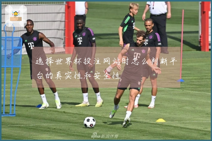 选择世界杯投注网站时怎么判断平台的真实性和安全性