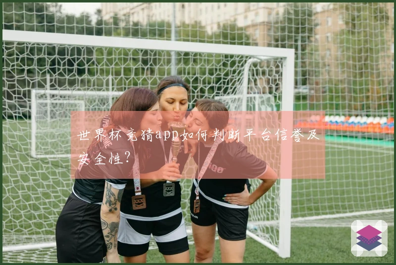 世界杯竞猜app如何判断平台信誉及安全性？