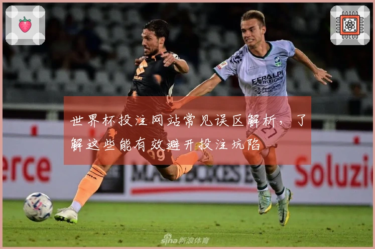 世界杯投注网站常见误区解析，了解这些能有效避开投注坑陷