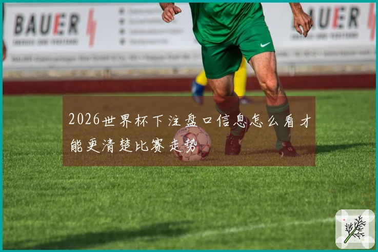 2026世界杯下注盘口信息怎么看才能更清楚比赛走势