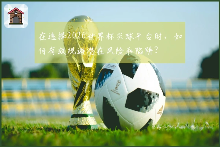 在选择2026世界杯买球平台时，如何有效规避潜在风险和陷阱？