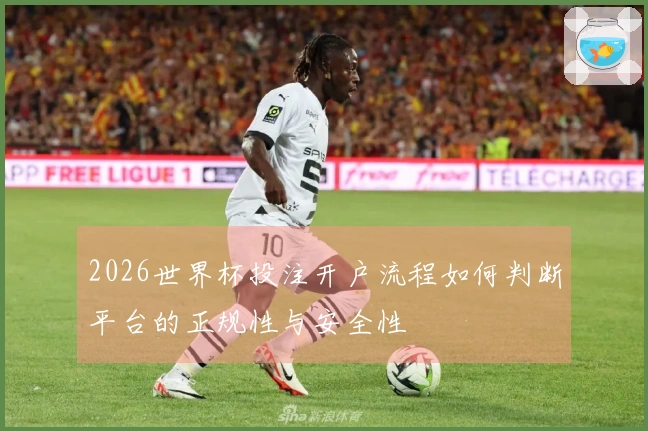 2026世界杯投注开户流程如何判断平台的正规性与安全性