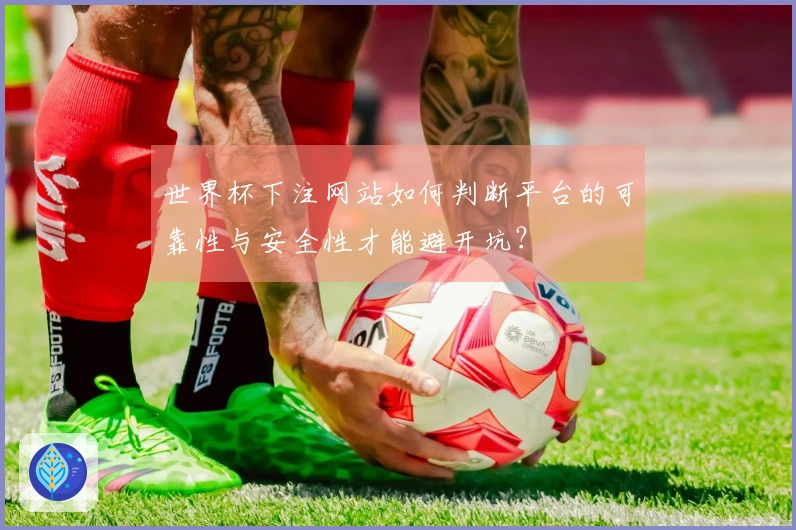 世界杯下注网站如何判断平台的可靠性与安全性才能避开坑？
