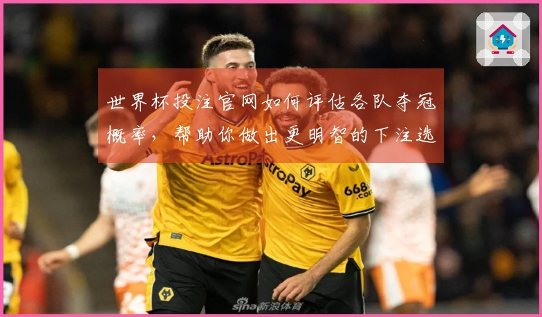 世界杯投注官网如何评估各队夺冠概率，帮助你做出更明智的下注选择