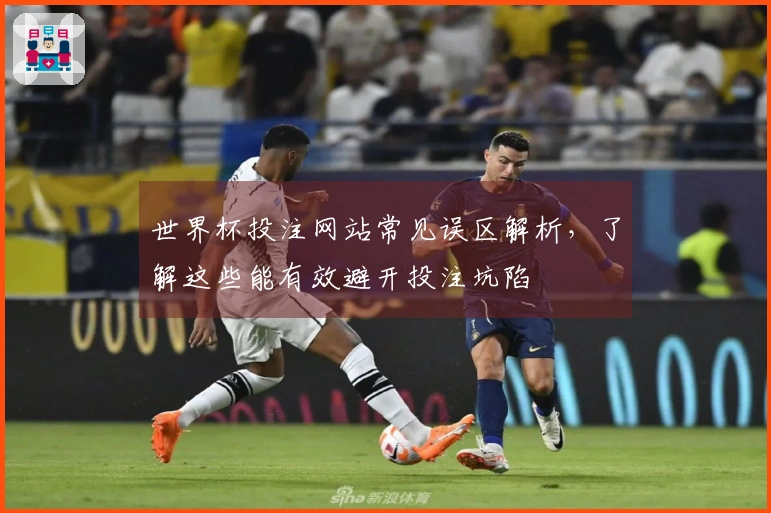 世界杯投注网站常见误区解析，了解这些能有效避开投注坑陷