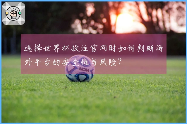 选择世界杯投注官网时如何判断海外平台的安全性与风险?