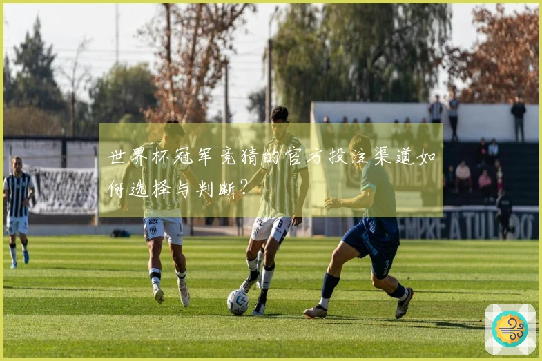 世界杯冠军竞猜的官方投注渠道如何选择与判断？
