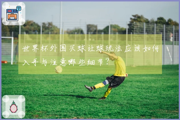 世界杯外围买球让球玩法应该如何入手与注意哪些细节？