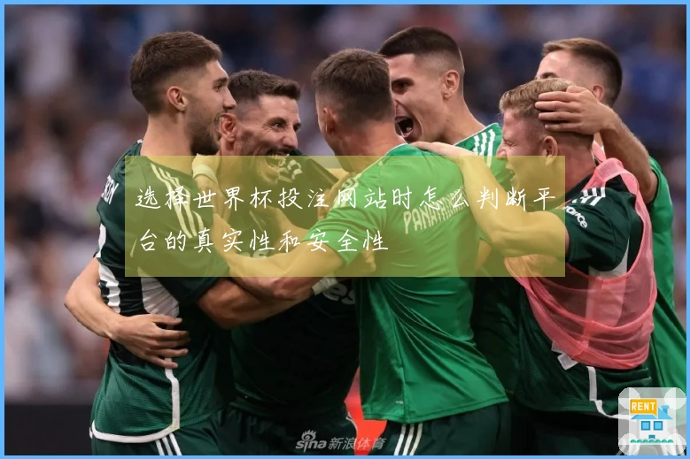 选择世界杯投注网站时怎么判断平台的真实性和安全性
