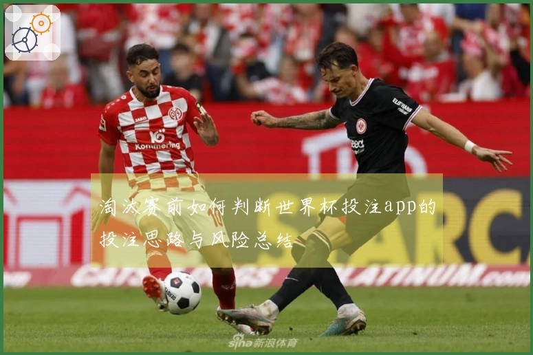 淘汰赛前如何判断世界杯投注app的投注思路与风险总结