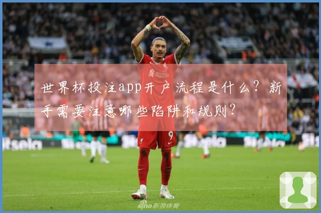 世界杯投注app开户流程是什么？新手需要注意哪些陷阱和规则？