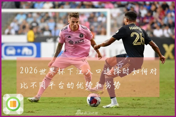 2026世界杯下注入口选择时如何对比不同平台的优势和劣势